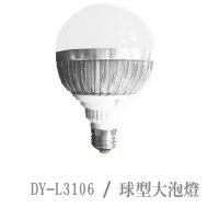 DY-L3106 / 球型大泡燈