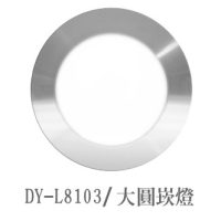 DY-L8103/ 大圓崁燈